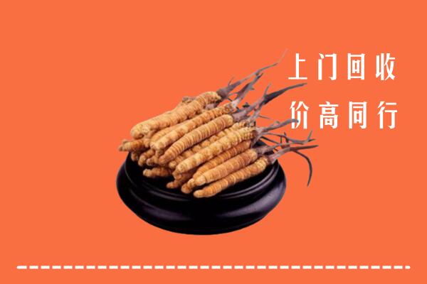 高价求购：祥符区回收散虫草