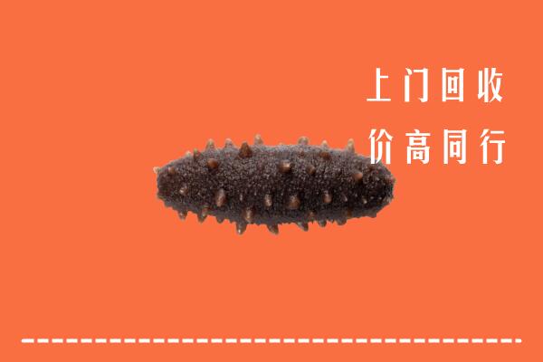 高价求购：祥符区回收海参