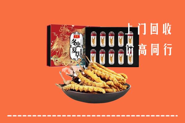 收购行情：祥符区回收虫草